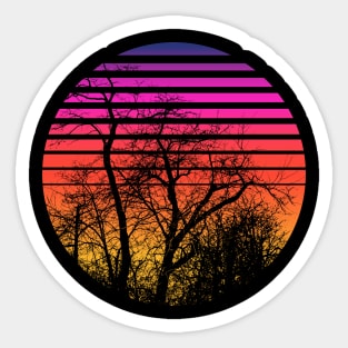 Tree in the Sun Sticker